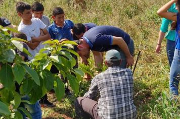 Produtores e estudantes são orientados sobre poda e manejo de frutíferas em Garruchos